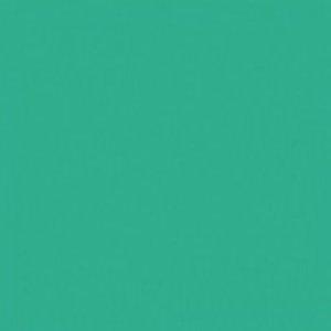 Paint and Paper Library Deep Water Green Paint